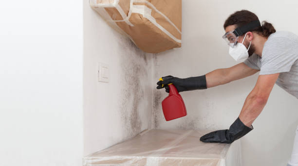 Professional Black Mold Removal technician working in Middletown, NY