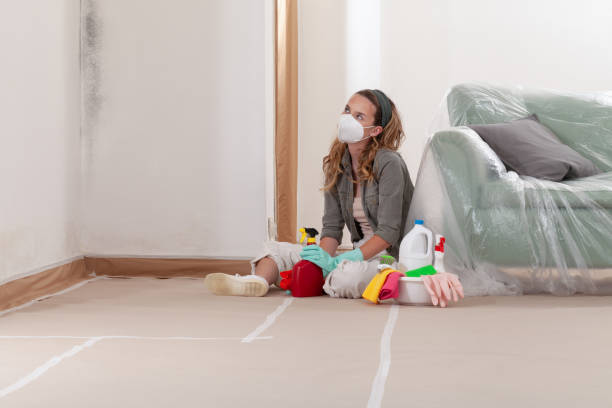 Reliable Black Mold Removal contractor in Middletown, NY by WQB Mold Removal